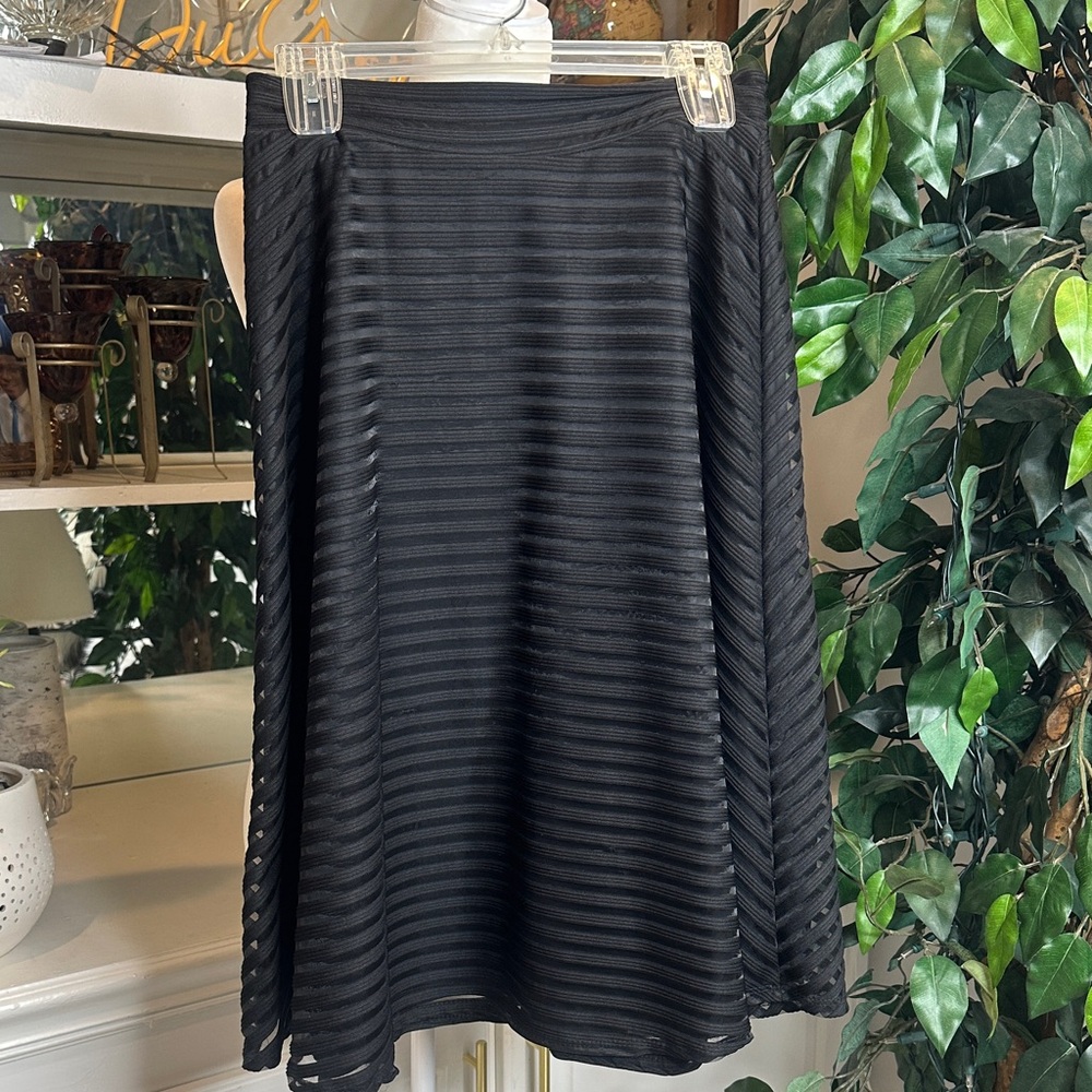 EUC Silhouette NYC Elegant Mesh Striped Black Midi Circle Skirt, L